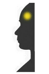 Philippe Hay Vitré, Professionnel indépendant